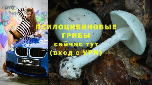 гашик Зерноград