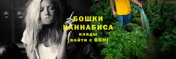 гашик Зерноград