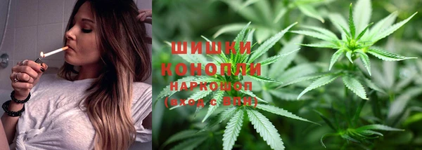 гашик Инсар