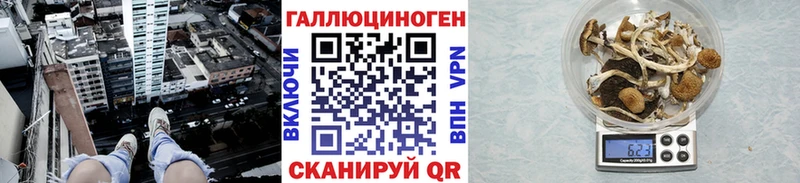 Псилоцибиновые грибы мухоморы  Купить  Ленинск-Кузнецкий 
